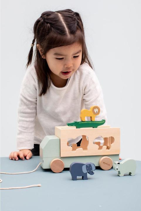 Produktbild Trixie Baby Holz Tiertransporter