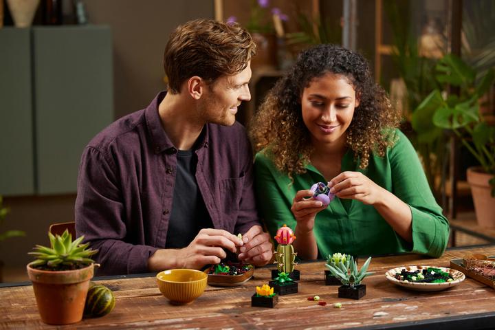 Actual product image LEGO Succulents (10309, LEGO Botanical, LEGO Rare Sets)
