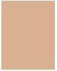 Actual product image Bourjois Healthy Mix Clean & Vegan Radiant Foundation (50.5N Light Ivory)
