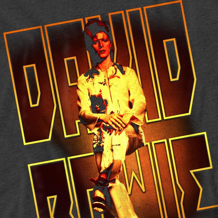 Actual product image David Bowie Unisex Adult Perched T-Shirt (XL)