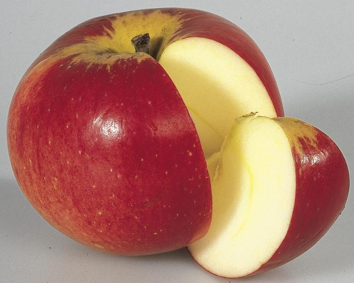 Produktbild Lubera Apfel Paradis Werdenberg