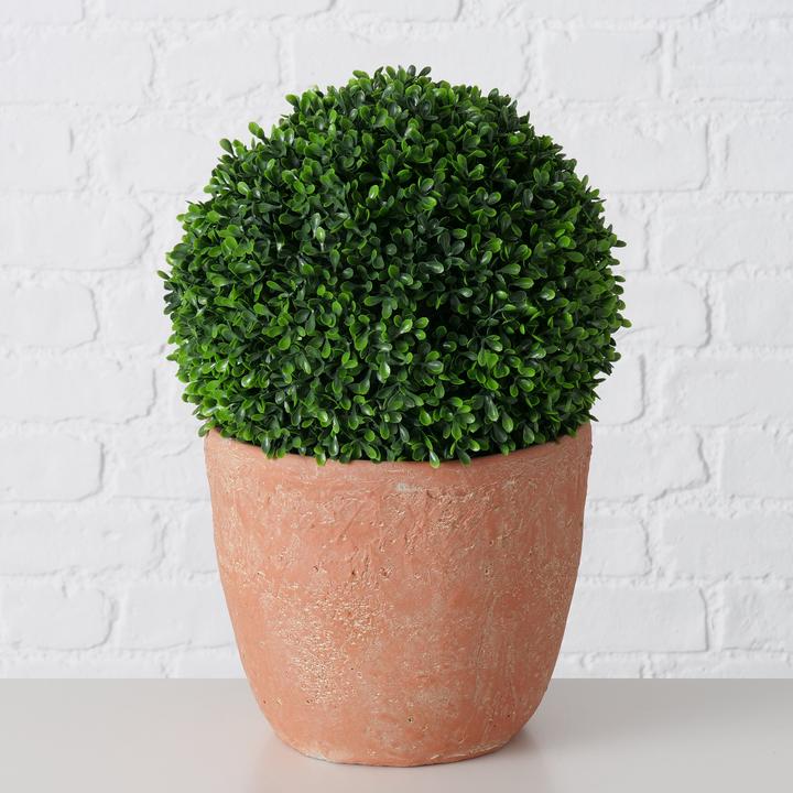 Actual product image Boltze Home Boxwood (39 cm)