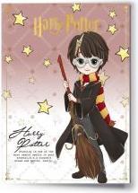 Produktbild Carat HARRY POTTER - Harry - Carte de Voeux avec Pin's