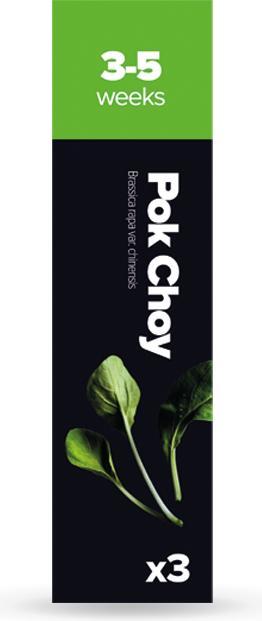 Immagine prodotto Plantui Pok Choy (Semi di verdura)