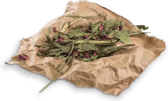 Produktbild Bunny All Nature Botanicals Mix Spitzwegerich (0.12 kg, 1 x)