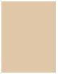 Actual product image MAC Cosmetics Studio Fix 24-Hour Smooth Wear Concealer (Product No. NC15)