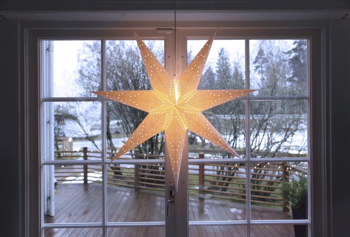 Actual product image Star Trading Sensy