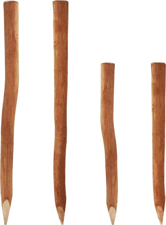 Produktbild Aquagart 20 Holzpfosten für Staketenzaun 1,5m I Durchmesser 6-9cm I Zaunpfosten aus Haselnuss I Zaun-Pfahl