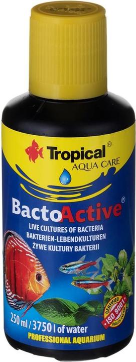 Tropical Colture batteriche vive BactoActive per acquari 250 ml (Fertilizzante per acquari)