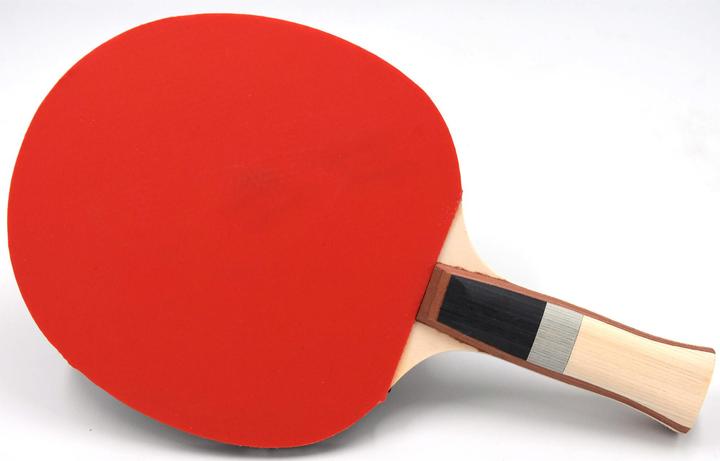 Actual product image Sunflex Table Tennis Racket Plus A