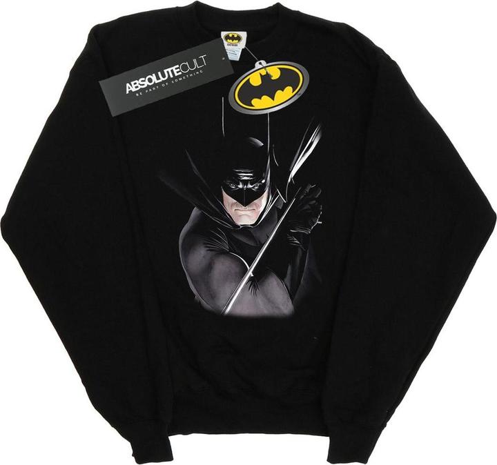 Actual product image Boys Batman By Alex Ross Sweatshirt (140, 146)