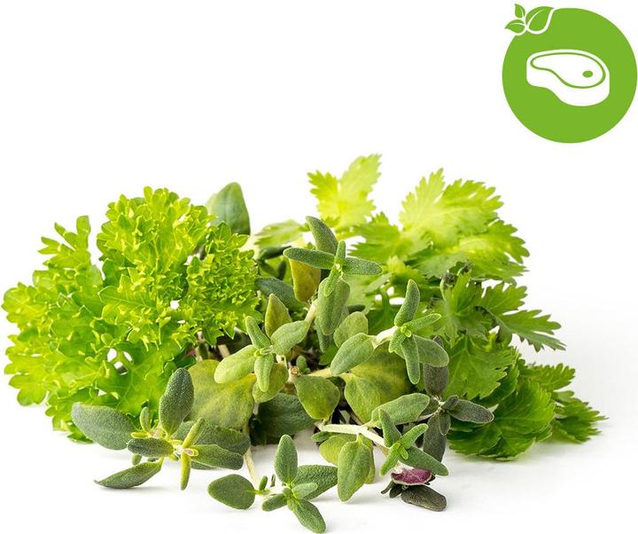 Actual product image Click and Grow Click Grow Click & Grow Pflanze Pagal Steak Mix 9 vnt (Herb seeds)