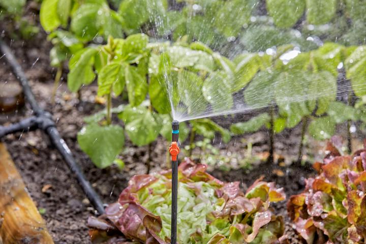 Image du produit Gardena Système de micro-goutte (Tuyau d'égouttage + tube d'égouttage)