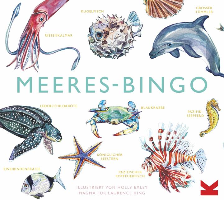 Actual product image 441197 - Meeres-Bingo - Board game, 2-7 players, ages 6+ (DE edition) (German)