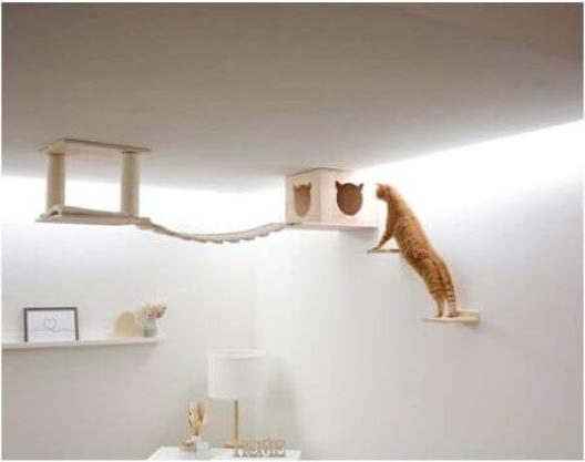 Actual product image Kerbl Top cat play area, natural/white
