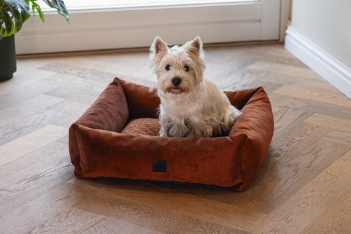 Immagine prodotto Designed by Lotte Divano letto a coste (Cane)