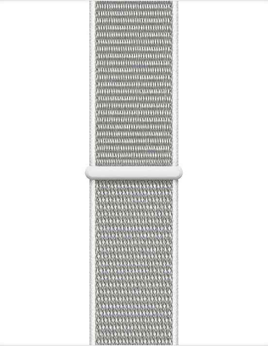 Muschel