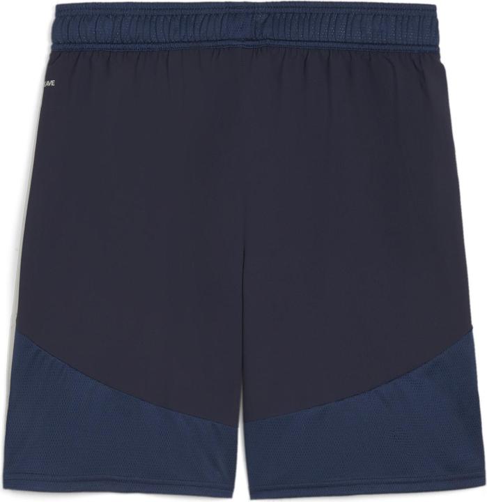 Image du produit Puma Short teamFINAL (L)