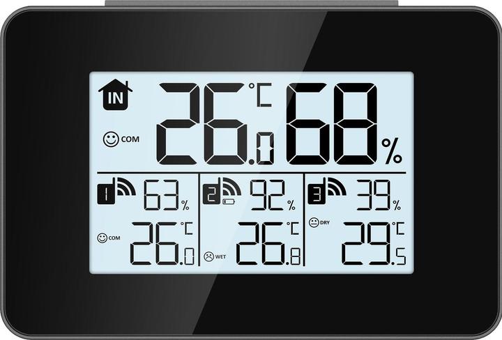 Immagine prodotto Wellcraft Set di termoigrometri