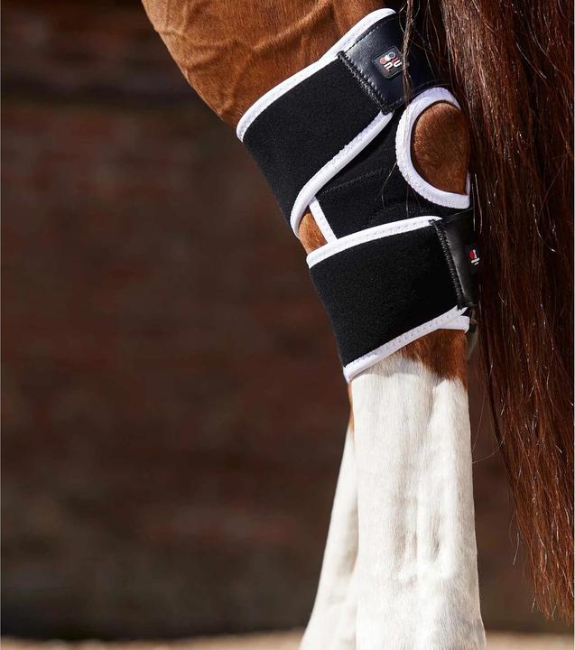 Actual product image Premier Equine magnetic knee protectors for horses magni-teque