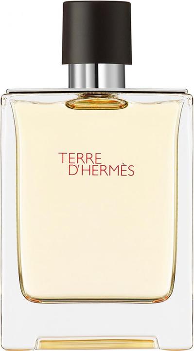 Hermès Terre d'