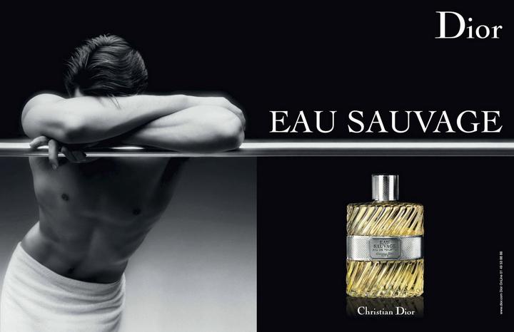Produktbild Dior Eau Sauvage (Eau de Toilette, 100 ml)