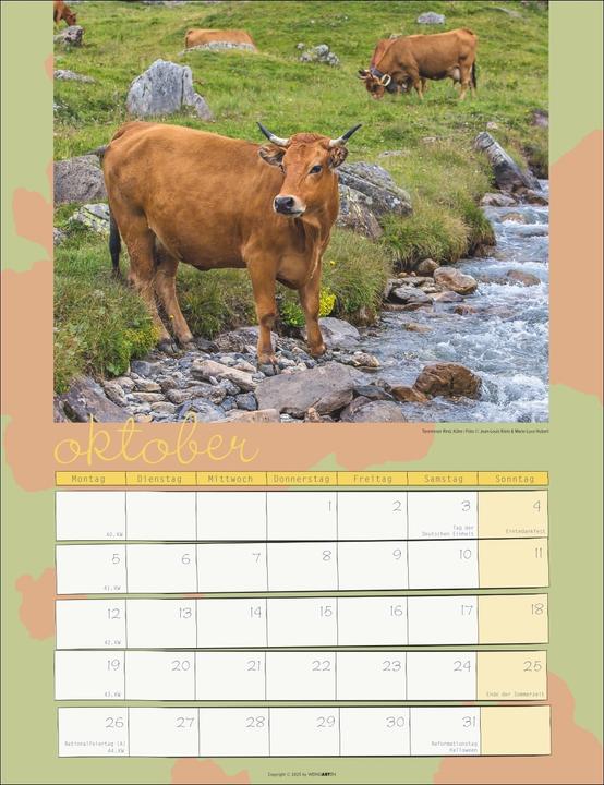 Produktbild Kuh Kalender 2026 (30 x 39 cm, Deutsch)