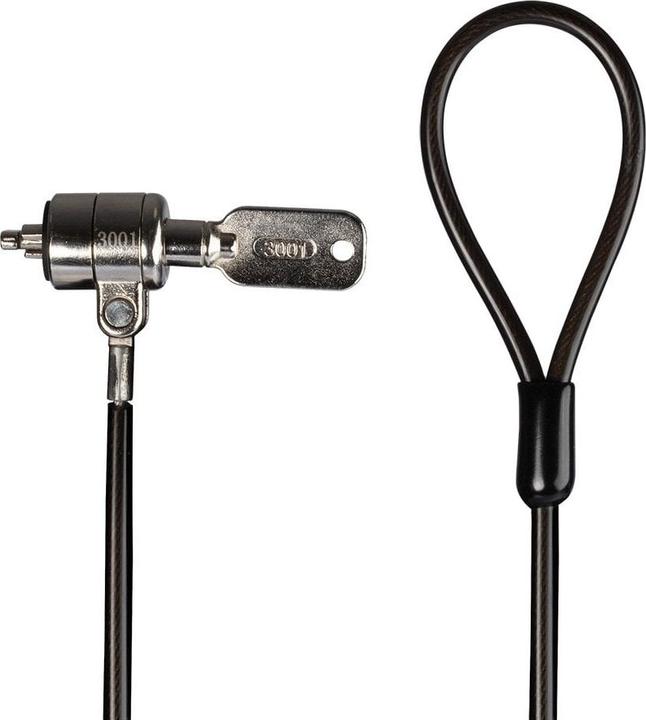 Actual product image Lindy Notebook security cable Security cable with Kensington lock