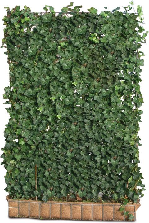 Produktbild Mobilane Hecke (100 cm)