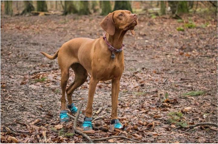 Image du produit Ruffwear Grip Trex 2 Paare Hundeschuhe (L, Chaussures pour chien)