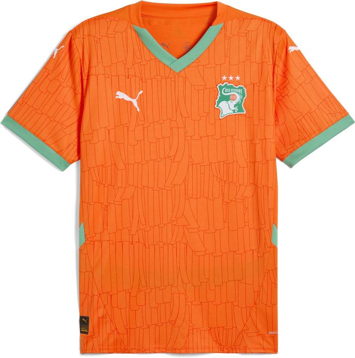 Puma FIF Home Jersey Replica (3XL)