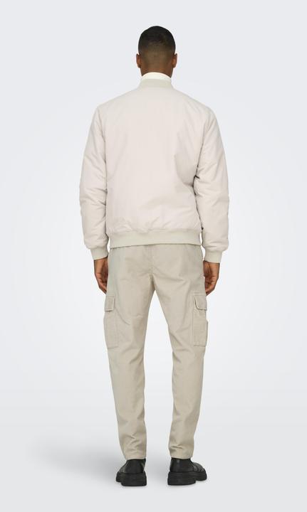 Image du produit Only & Sons ONSLOU Rajeunit Pantalon Pantalon (W28/L32)