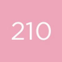 Produktbild Diego dalla Palma Nail Polish 210 (2010, Farblack)