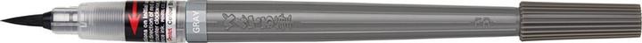 Immagine prodotto Pentel Pennello penna colore pennello pigmento (Grigio)