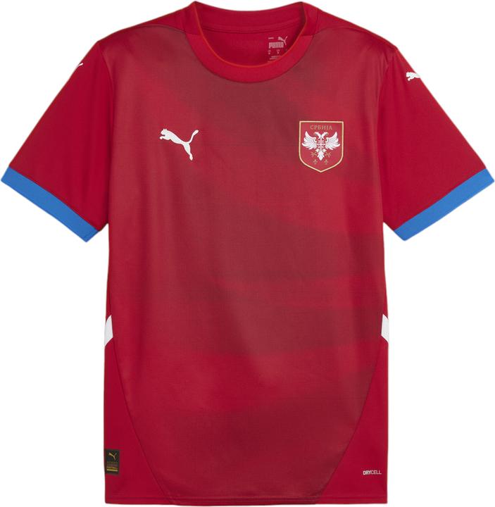 Puma FSS Home Jersey Replica (L)