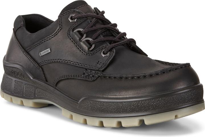 Ecco Track 25 Low GTX