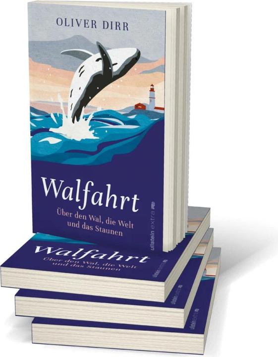 Actual product image Walfahrt (German, Oliver Dirr, 2022)