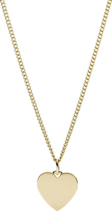 Actual product image Fossil Drew Necklace (Stainless steel, 45 - 50 cm)