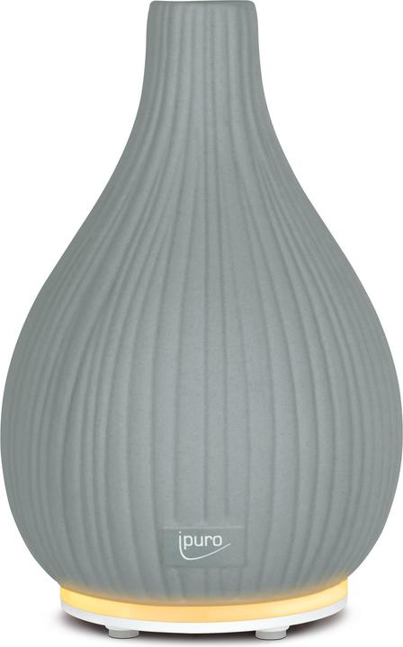 Actual product image Ipuro Aroma vase