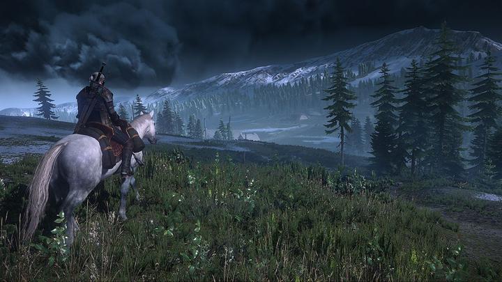 Image du produit Bandai Namco The Witcher 3: Wild Hunt - GOTY (PS4, Multilingue)