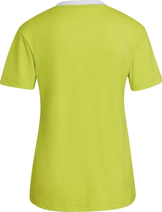 Image du produit adidas Entrada 22 Maillot de football Femme (S)