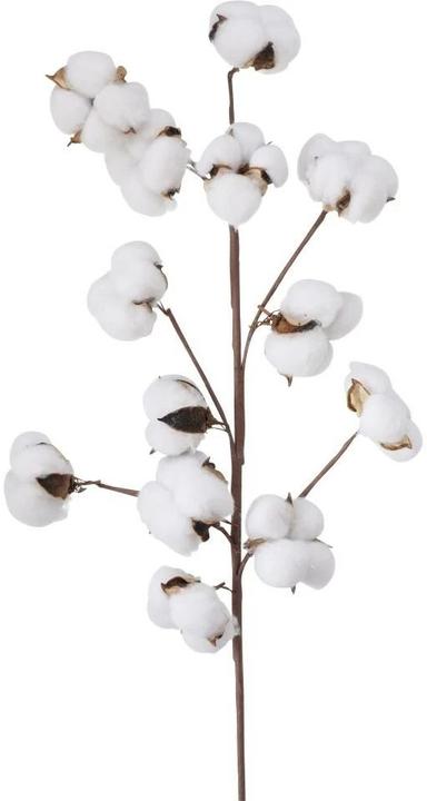 Produktbild Boltze Home Baumwolle (68 cm)