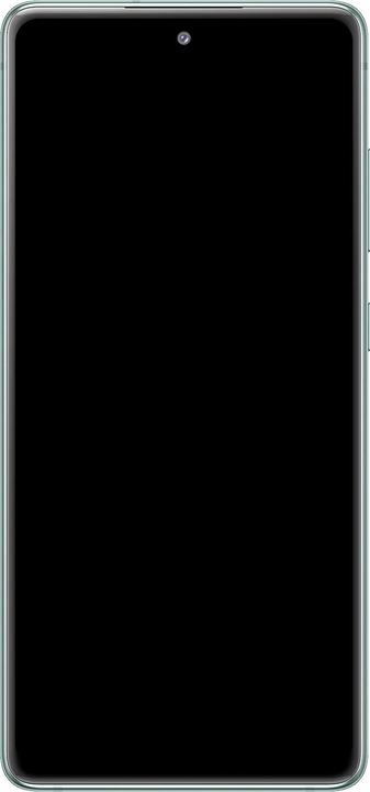 Actual product image Samsung LCD display S20 FE 4G (Display, Galaxy S20 FE)
