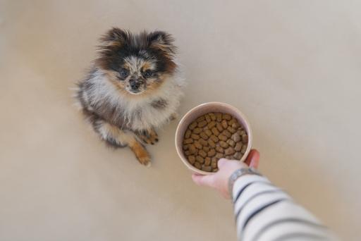 Actual product image Designed by Lotte Jace dog bowl (0.70 l)