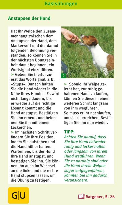 Produktbild Welpen Spiele-Box (Deutsch)
