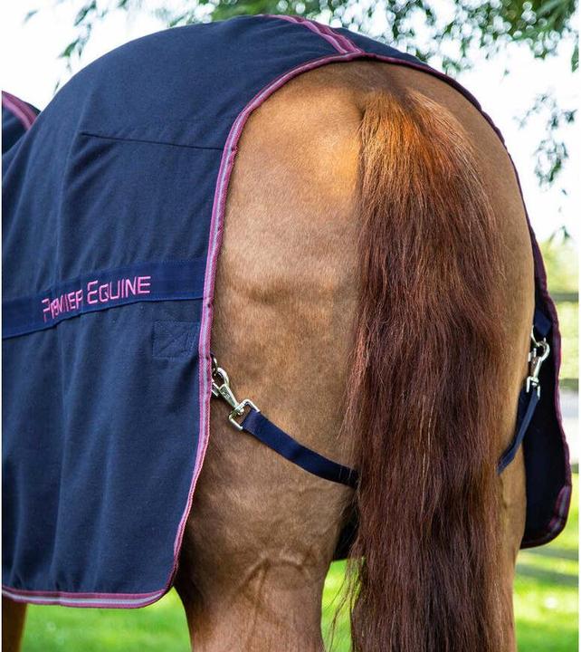Actual product image Premier Equine Barrasso 450 g (175 cm)