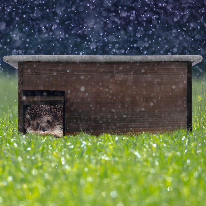 Actual product image Relaxdays Hedgehog House