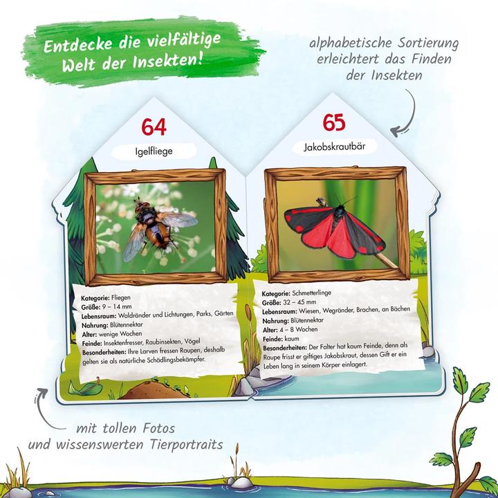 Produktbild Buch in Hausform 101 Heimische Insekten von A bis Z, die du kennen solltest (Deutsch, Trötsch Verlag GmbH & Co. KG, 2020)