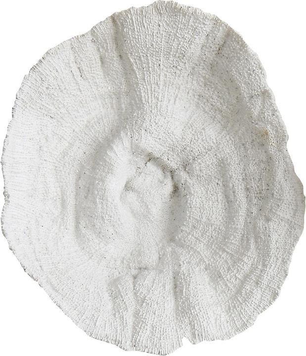 Bloomingville Fleur de sel