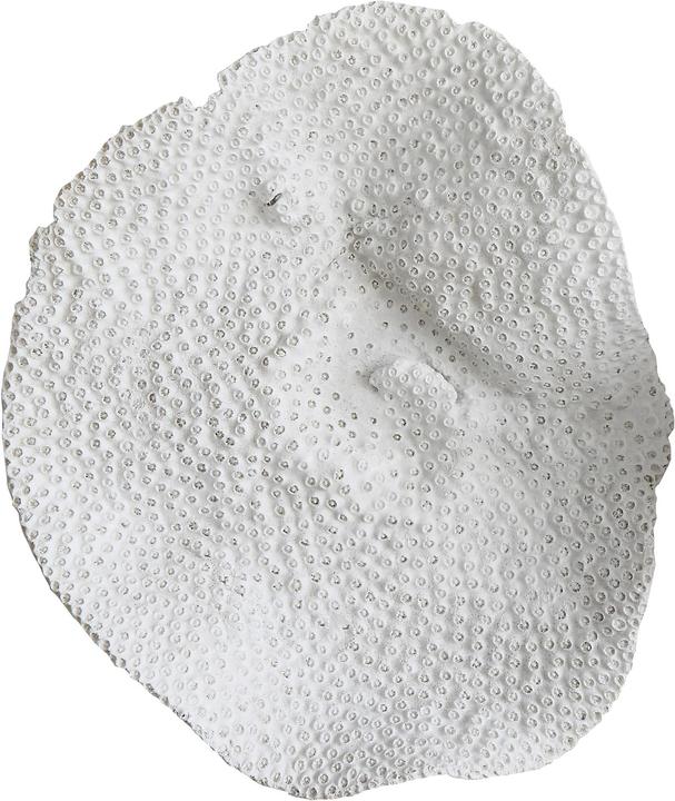 Image du produit Bloomingville Fleur de sel
